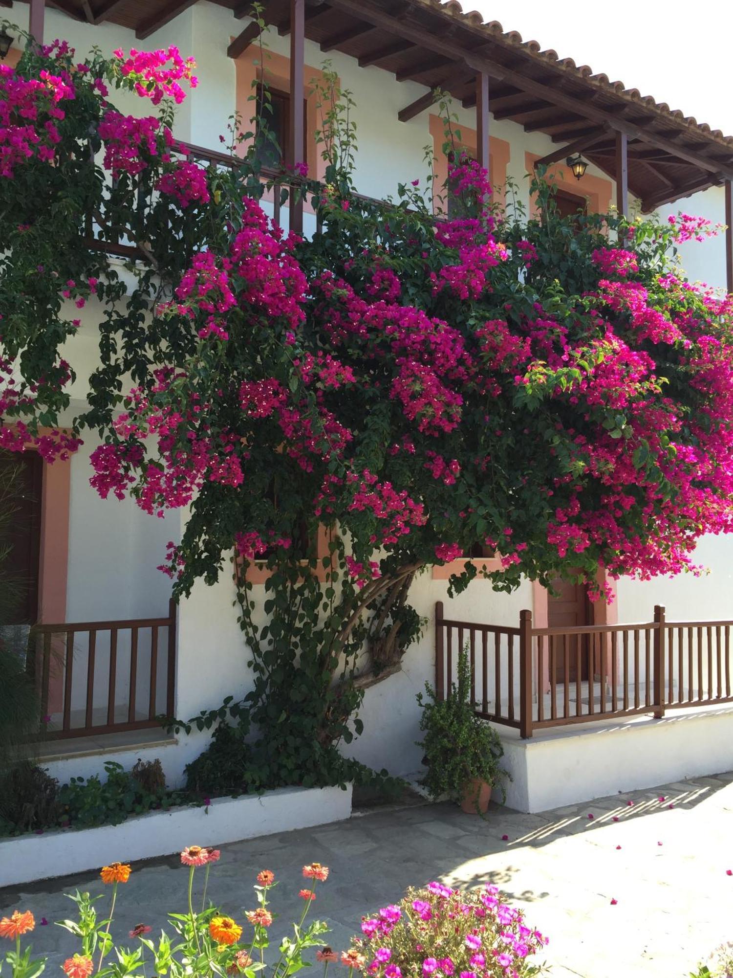 Marigoula Village Città di Skopelos Esterno foto